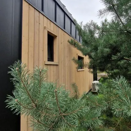 Sasinko Mini * 사시노