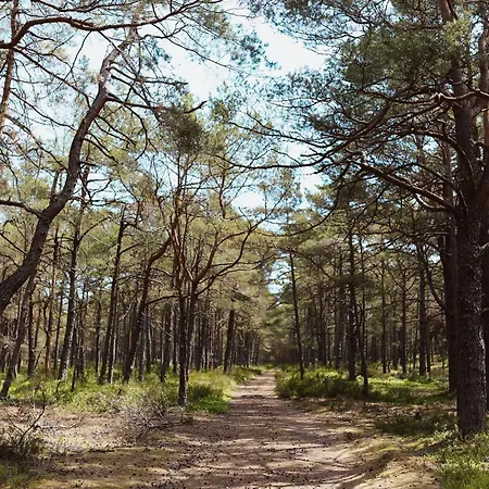 Semesterbostad Sasinko Mini Sasino